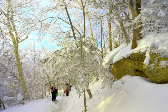 冰雪旅游