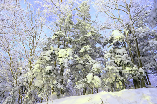 冰雪旅游