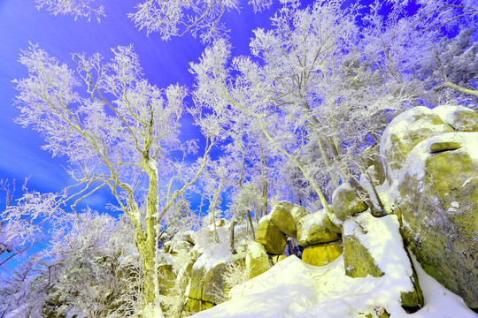 冰雪旅游