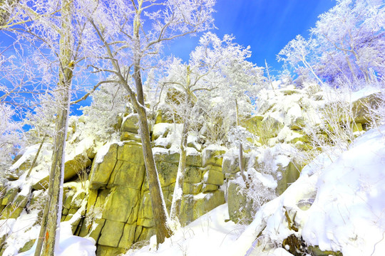 冰雪旅游