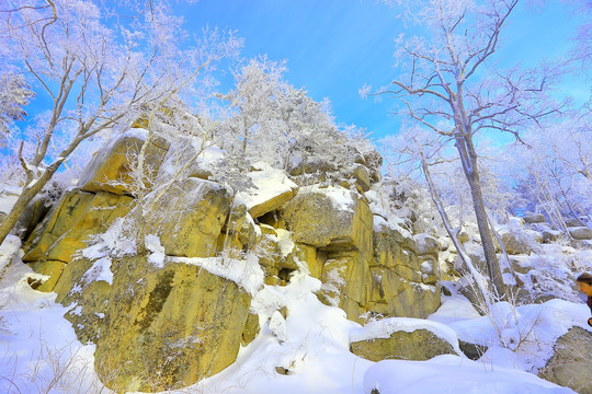 冰雪旅游