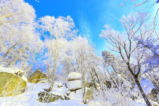 冰雪旅游