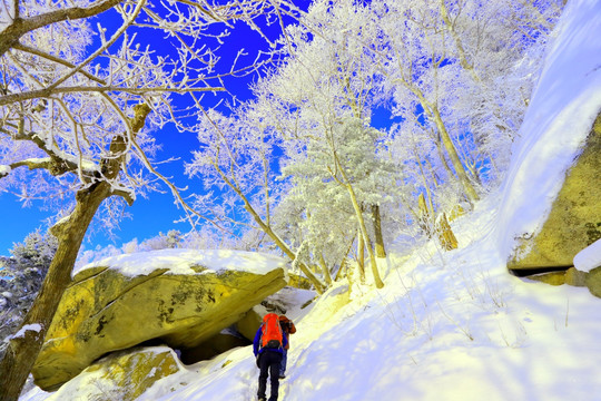 冰雪旅游