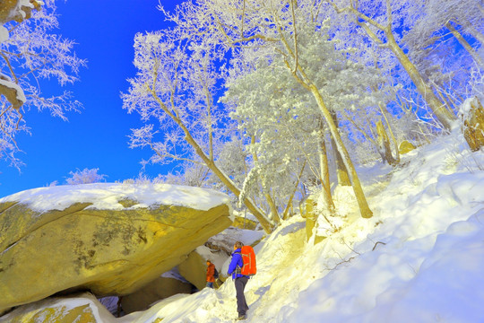 冰雪旅游