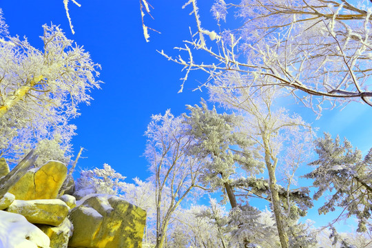 冰雪旅游