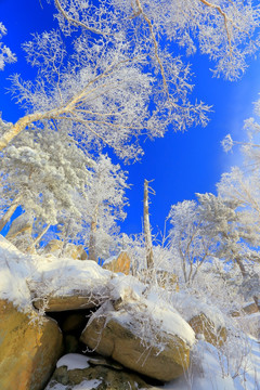 冰雪旅游