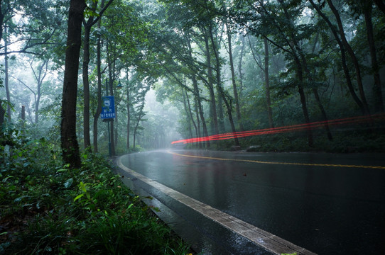 森林 公路