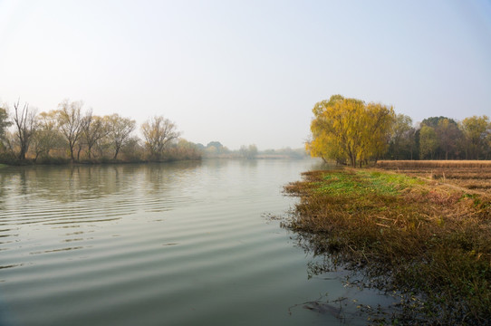 西溪湿地