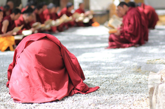 拉萨色拉寺喇嘛祈福