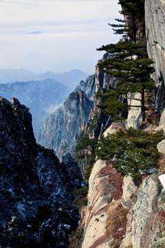 冬景 黄山风光