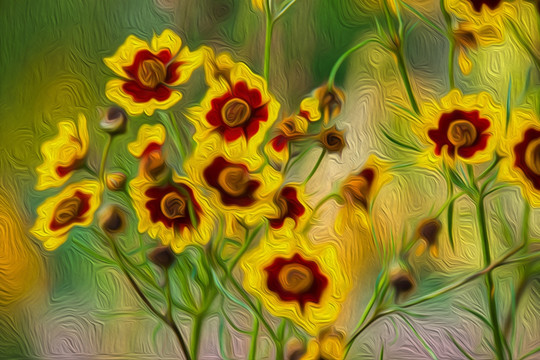 野菊花裝飾畫