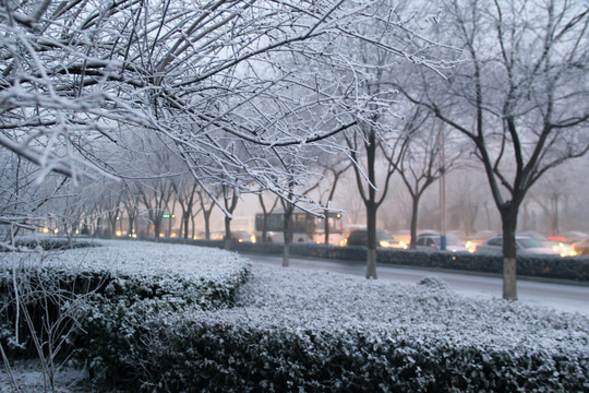 雪景