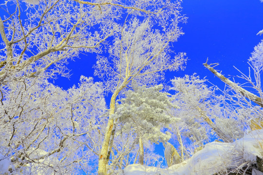 冰雪旅游