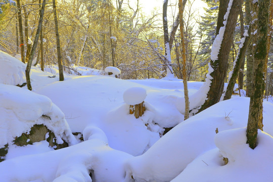 冰雪旅游