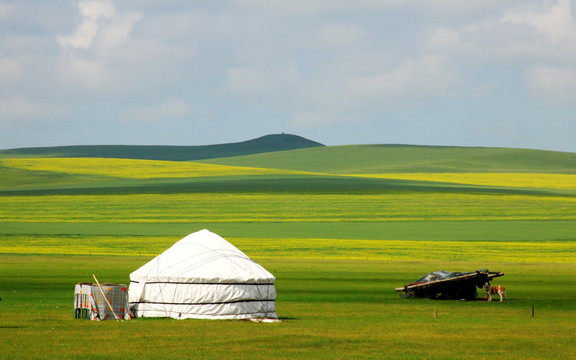 夏季草原上的蒙古包