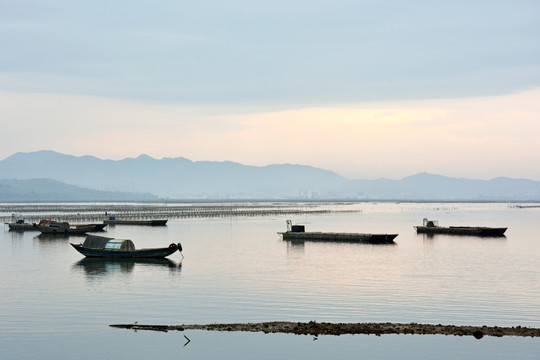 养殖场 避风港