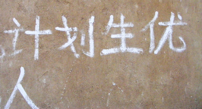 错别字