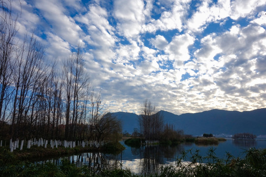 滇池草海湿地风光