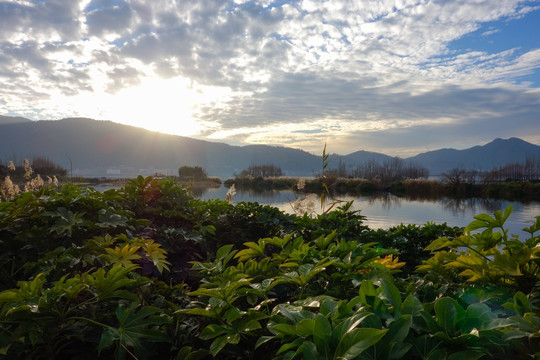 滇池草海湿地日落