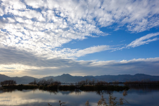 滇池草海湿地风光