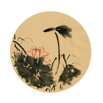 荷花圖