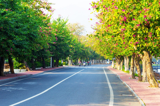 美丽的公路