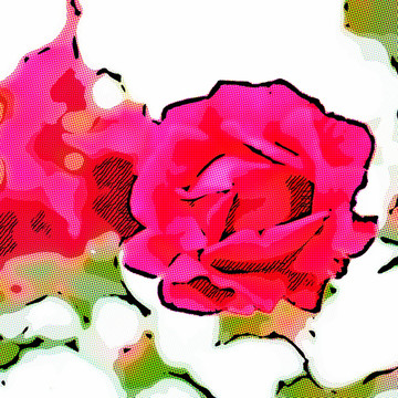無(wú)框畫 花朵