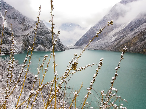 雪景