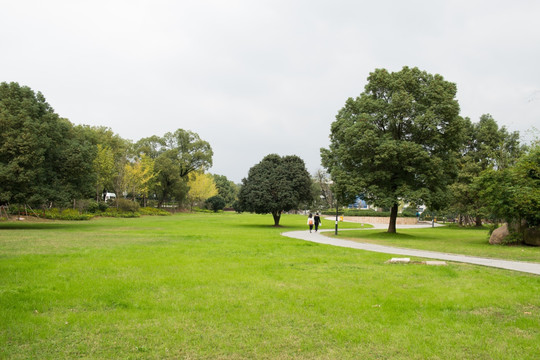 武汉大学 校园 绿地