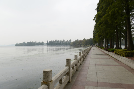 武汉东湖风景区 湖边步道