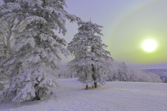 中国雪乡