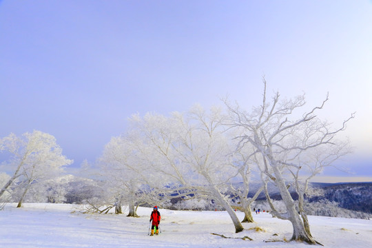 中国雪乡