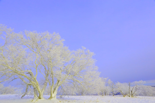 中国雪乡