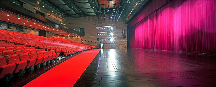 舞台剧院 大型会议室