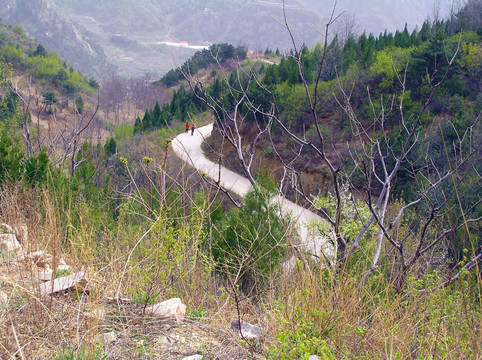 山中风景