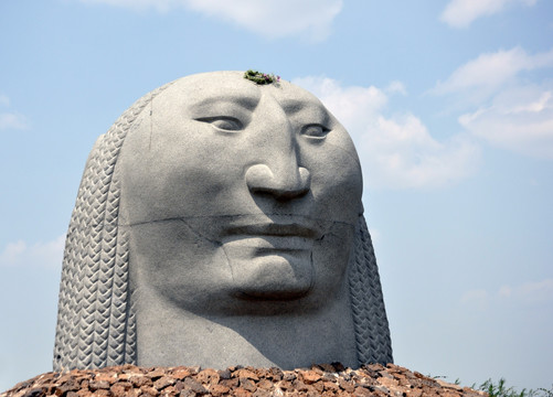 平山沙地双面人