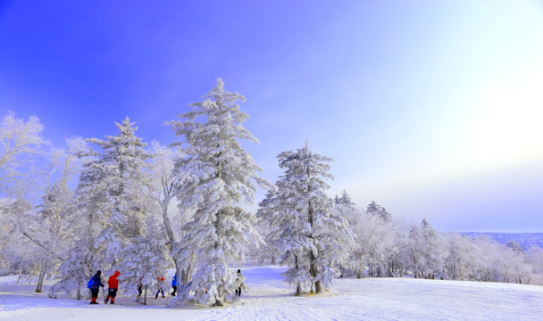 冰雪画廊