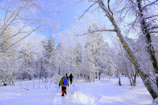 冰雪画廊