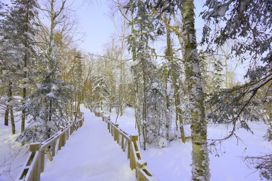 冰雪画廊