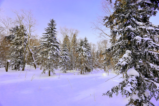 冰雪画廊