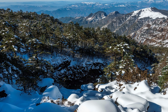 禄劝轿子雪山森林