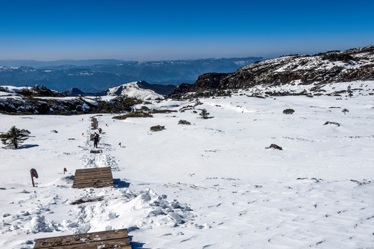 禄劝轿子雪山