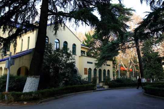 南京大学