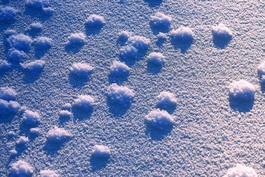 雪野冰花