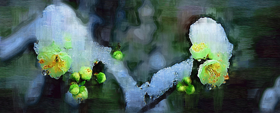 冰雪绿萼（油画）