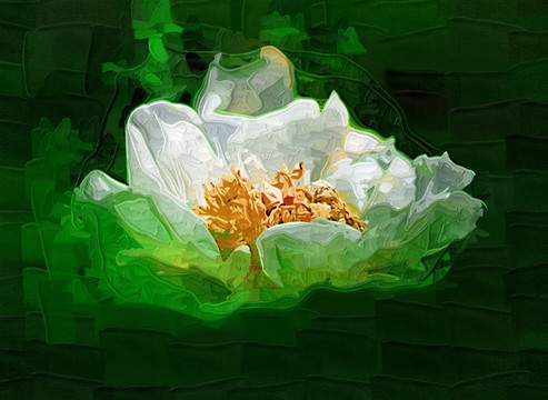牡丹花油畫