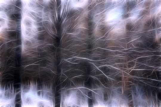 電腦畫(huà) 松林沐雪圖