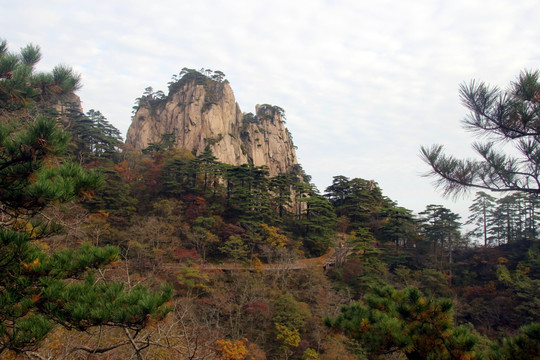 黄山风景