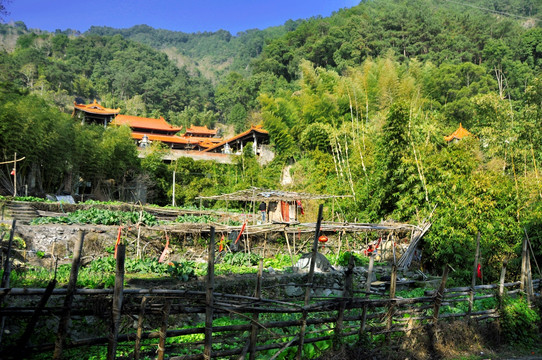 大山里的寺院