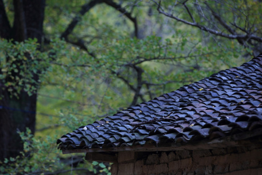 屋檐瓦片